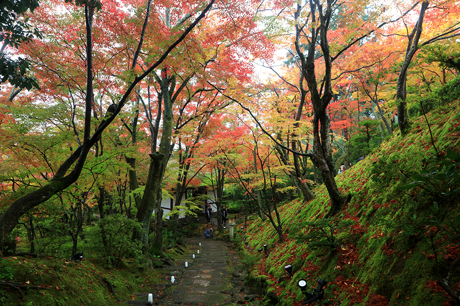 常寂光寺1