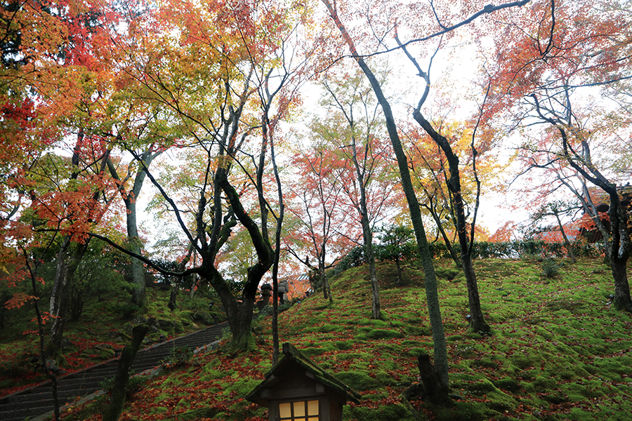 常寂光寺2