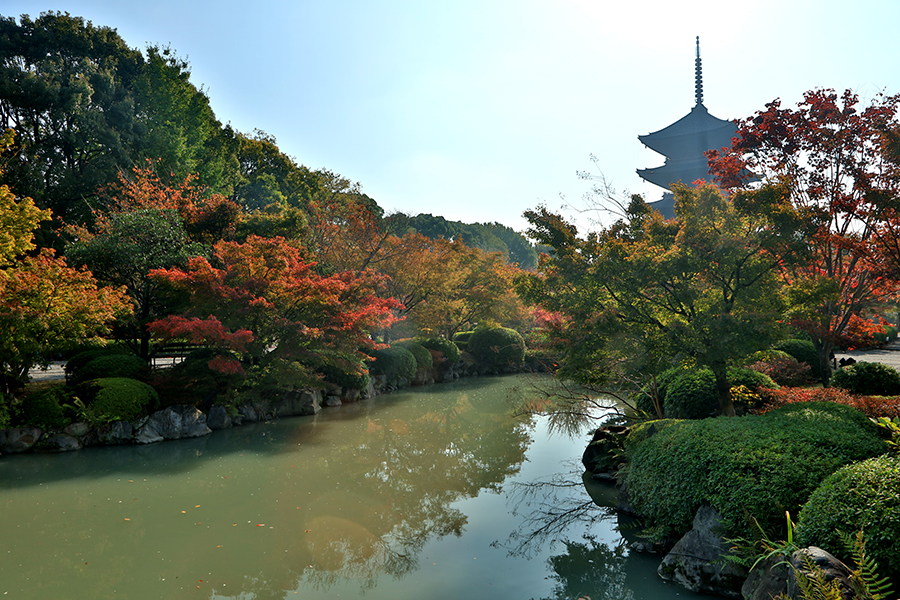 東寺2