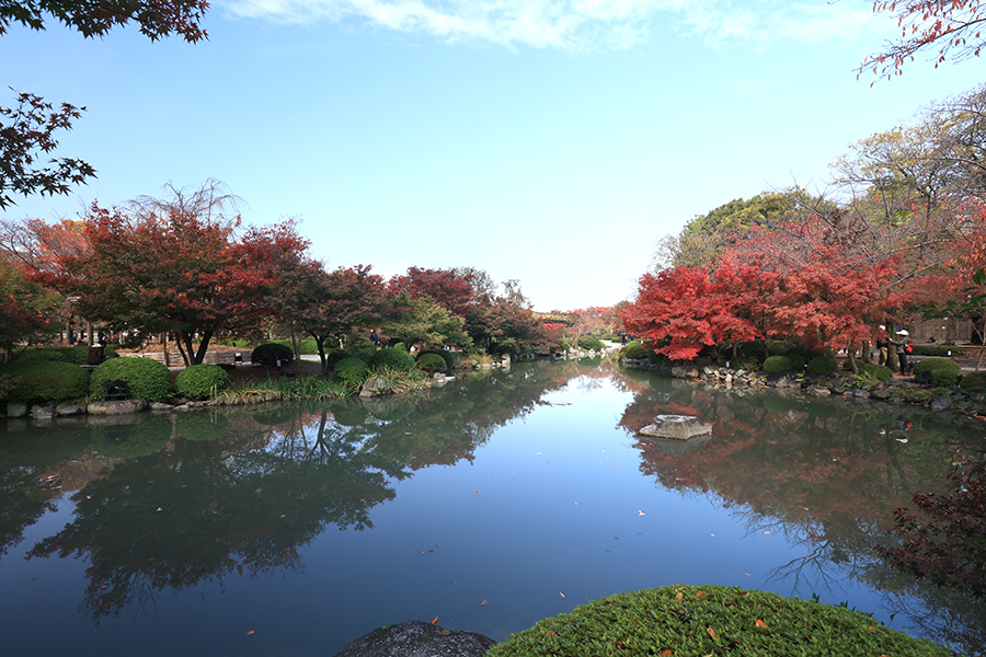 東寺3