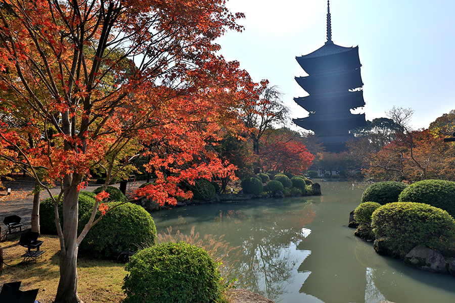 東寺3