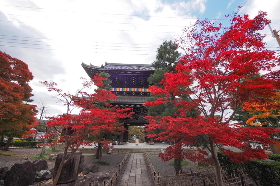 金戒光明寺