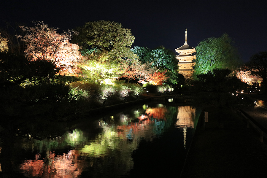 東寺2