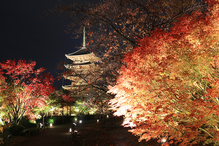 東寺3