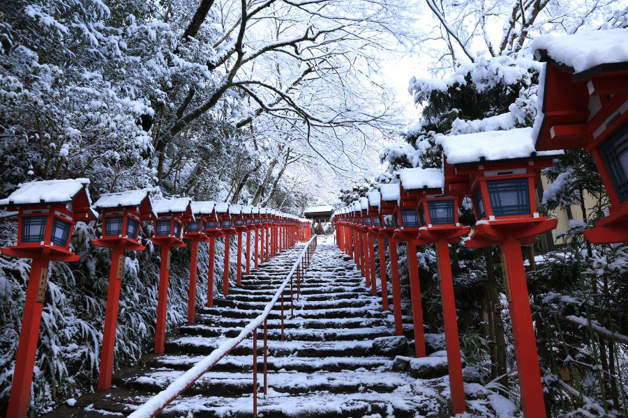 真冬の感動体験 雪化粧の京都 をたずねて そうだ 京都 行こう