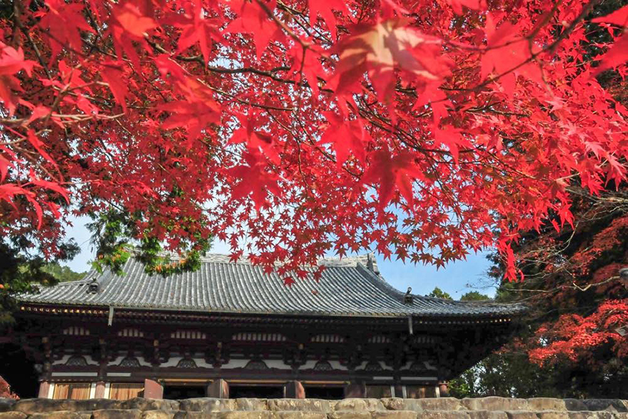 京都の穴場エリア 三尾 で紅葉めぐり 神護寺 高山寺 西明寺 そうだ 京都 行こう