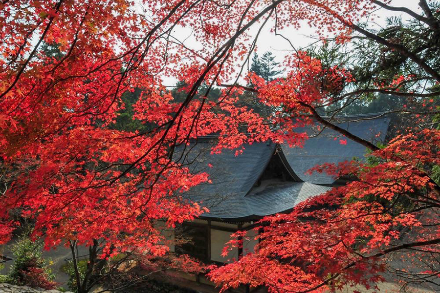 京都の穴場エリア「三尾」で紅葉めぐり 神護寺・高山寺・西明寺｜そうだ 京都、行こう。