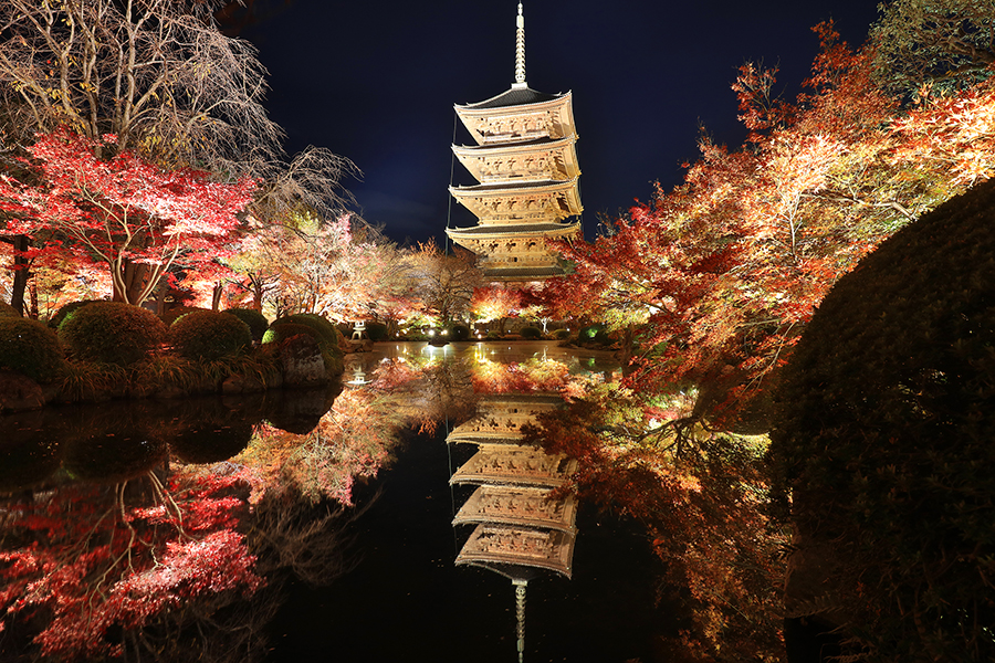 京都の絶景紅葉スポット 7選 写真撮影の手引き付き そうだ 京都 行こう