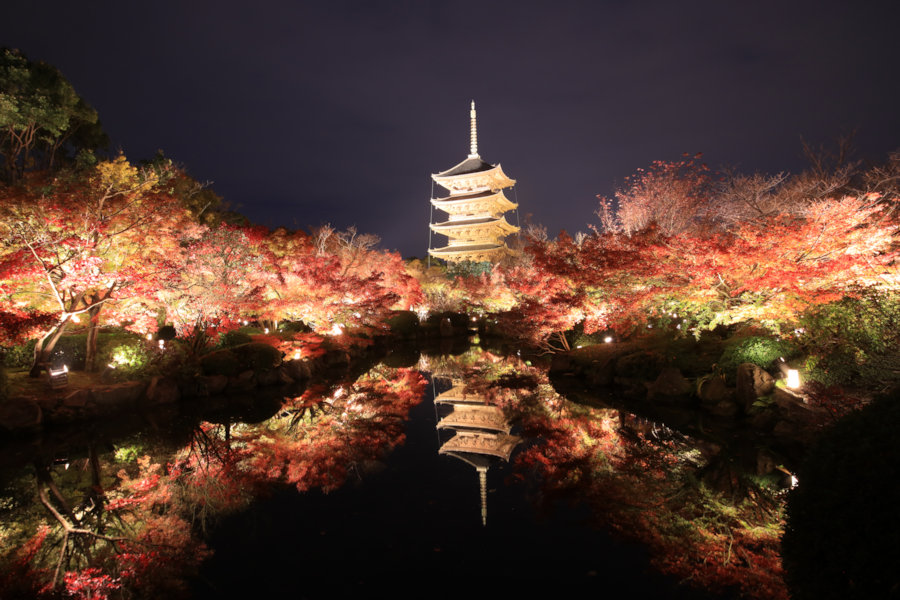 最後まで楽しみたい 京都駅周辺の紅葉ライトアップ そうだ 京都 行こう