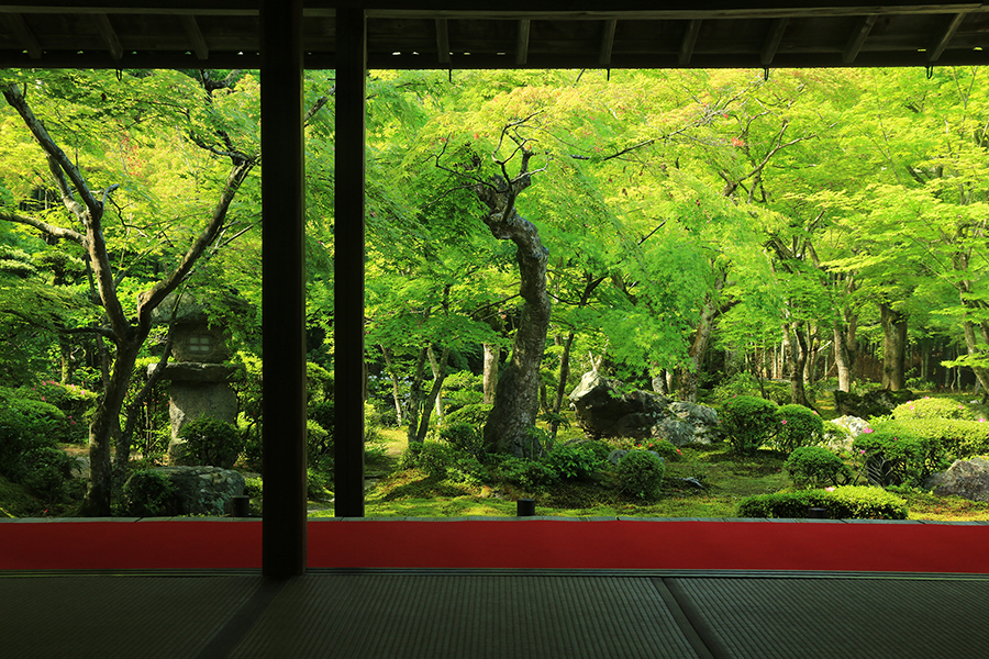 京都の庭