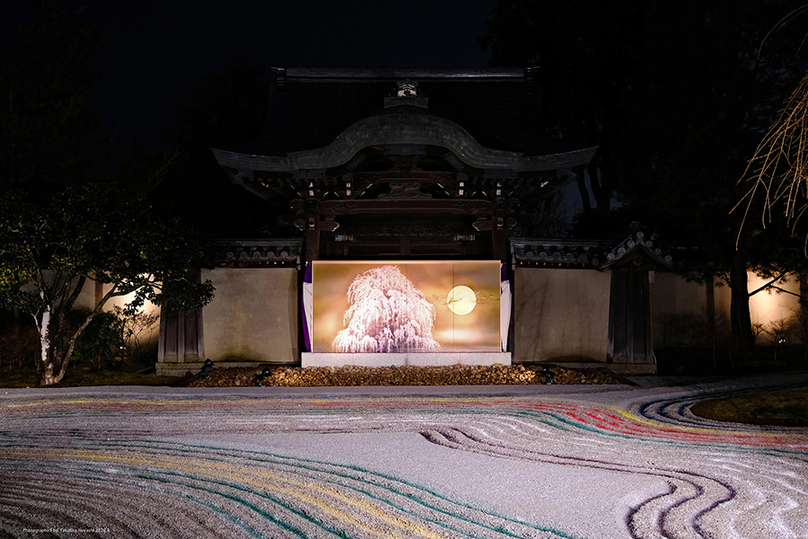 高台寺夜間特別拝観