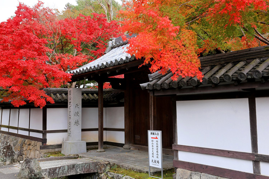 絶景 名庭 名物 南禅寺 の見どころをご案内 そうだ 京都 行こう