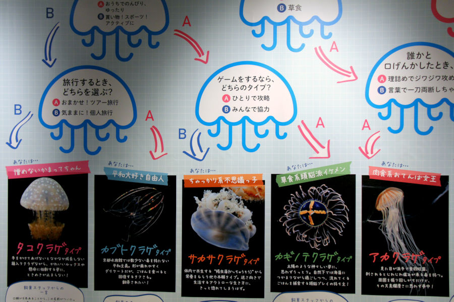 京都水族館が はじめての大規模リニューアル 新展示エリア クラゲワンダー 誕生 そうだ 京都 行こう