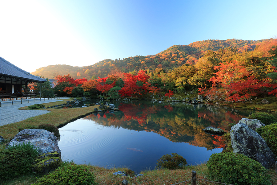 年の秋は 非密 の紅葉名所へ そうだ 京都 行こう