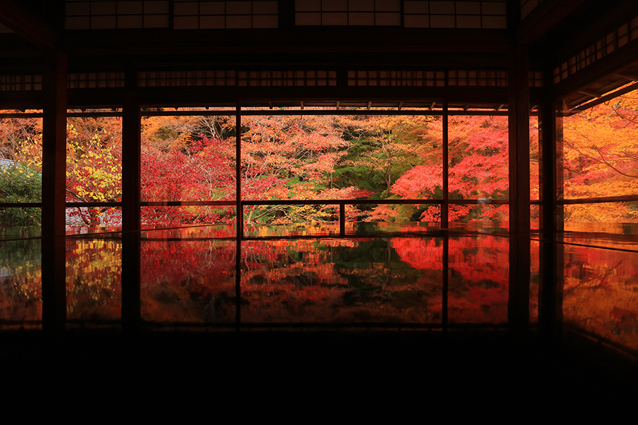 ずらし旅 でゆったり 人気の紅葉スポット巡り 瑠璃光院 嵐山など そうだ 京都 行こう