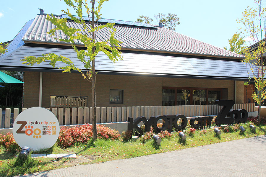 京都市動物園1