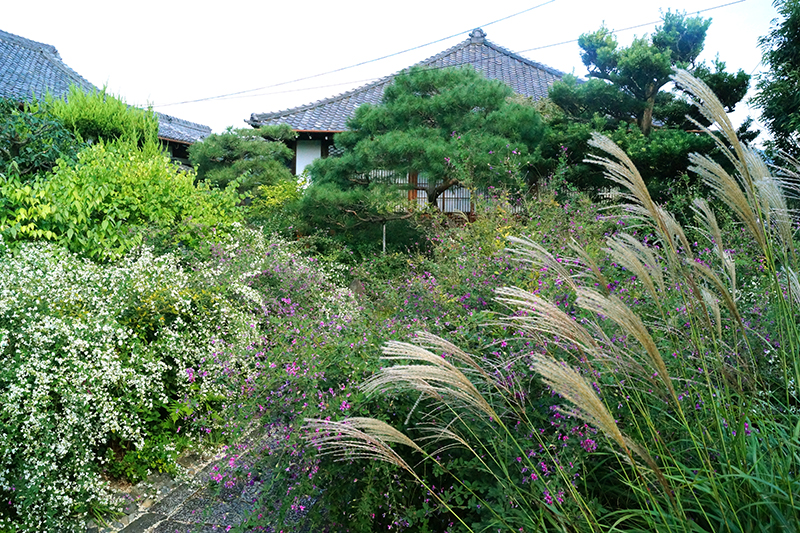 常林寺_1