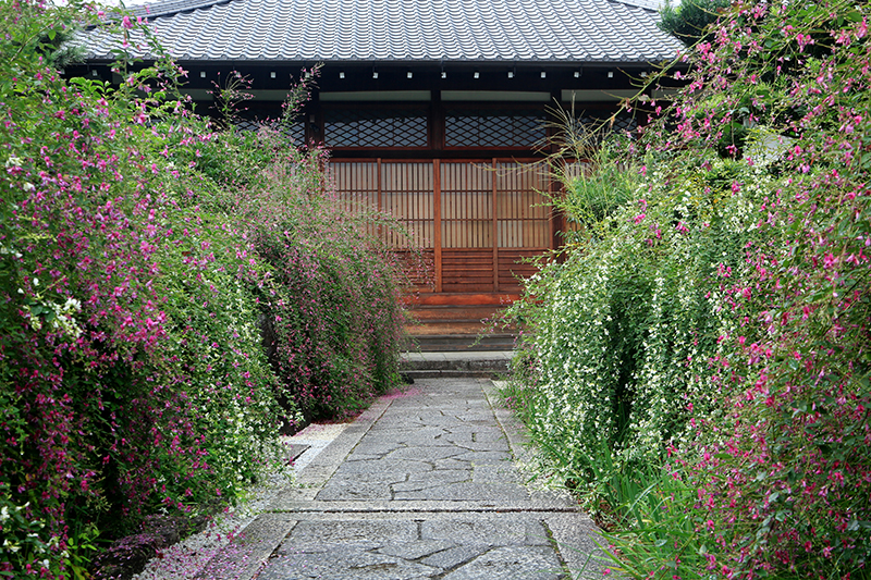 常林寺_3