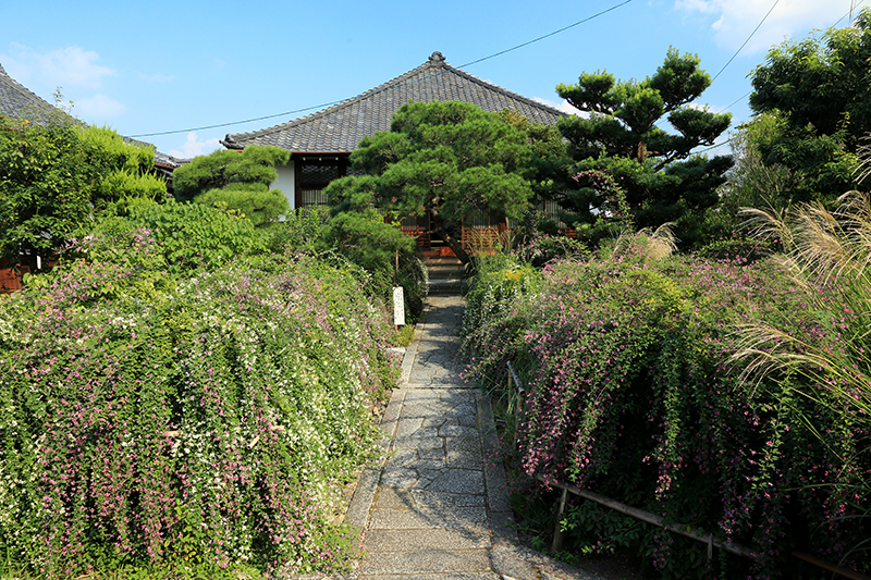 常林寺_5