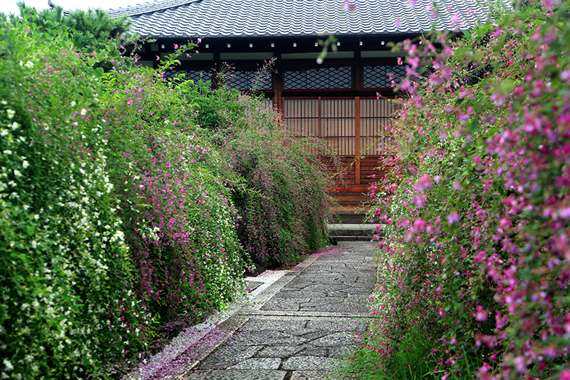 常林寺_7