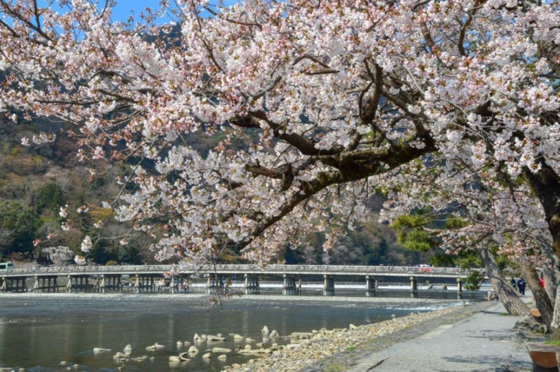 渡月橋（嵯峨野・嵐山エリア）