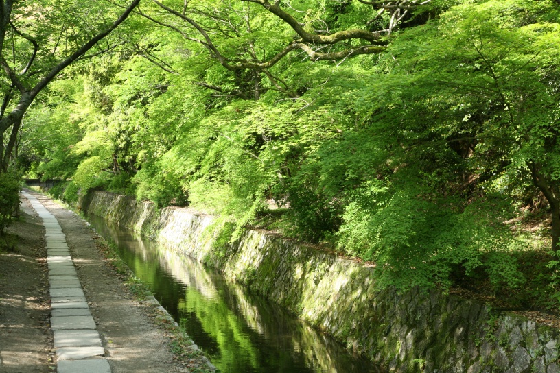 哲学の道（哲学の道・岡崎エリア）