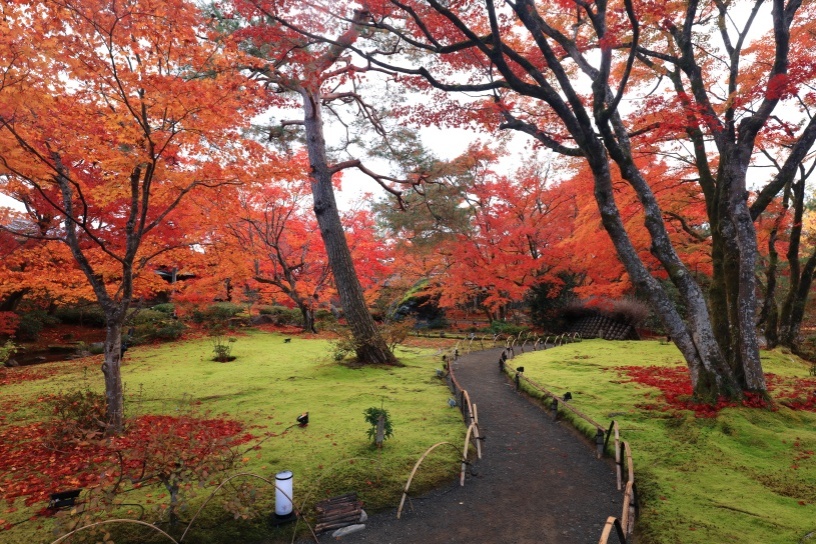 宝厳院「秋の特別拝観」