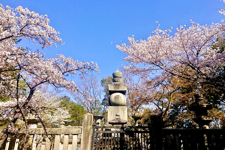 拝観 参拝の証に 華やかな春の御朱印21 そうだ 京都 行こう