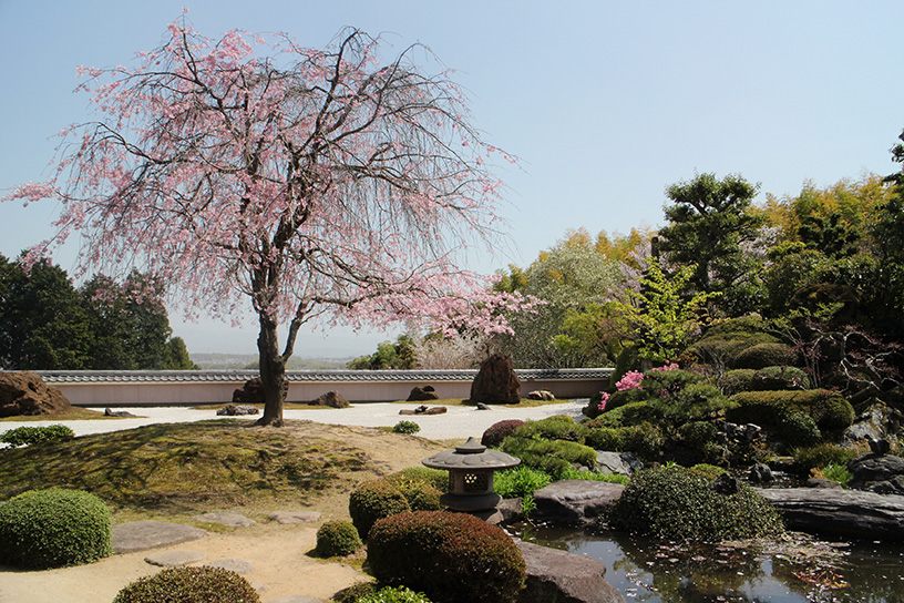 正法寺（撮影日：2021年4月1日）