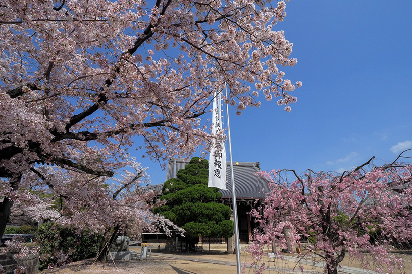 妙顕寺（撮影日：2021年4月1日）