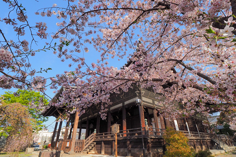 立本寺（撮影日：2021年4月1日）