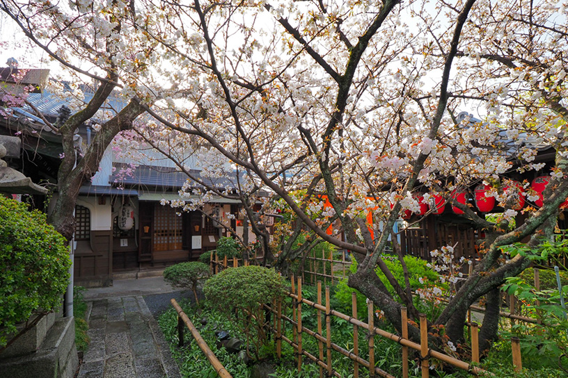 雨宝院（撮影日：2021年4月1日）