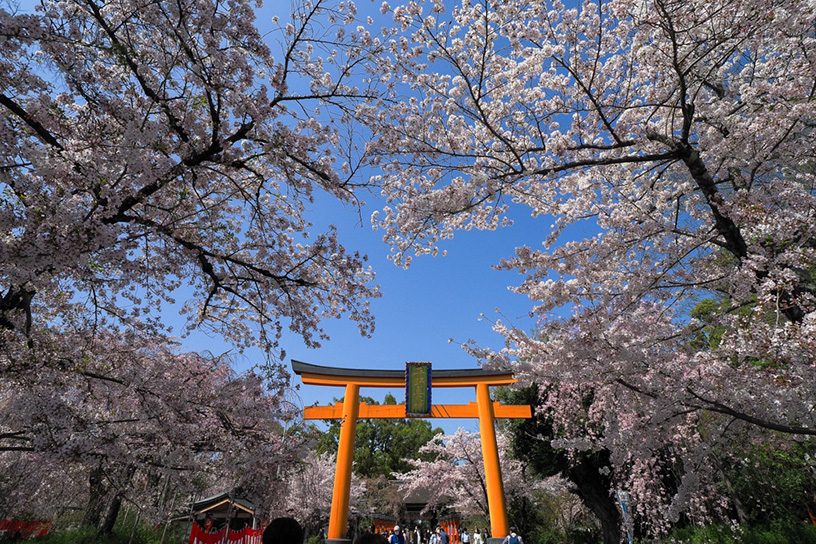 平野神社（撮影日：2021年4月1日）