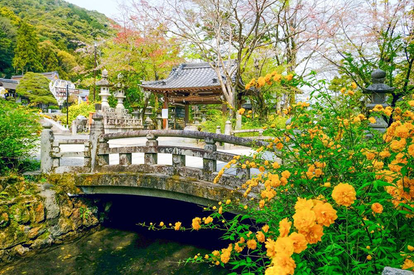 お酒の神様を祀る「松尾大社」。境内の見どころや注目ポイントを