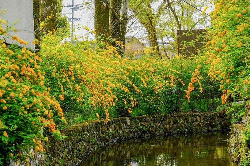 撮影日：2019年4月17日