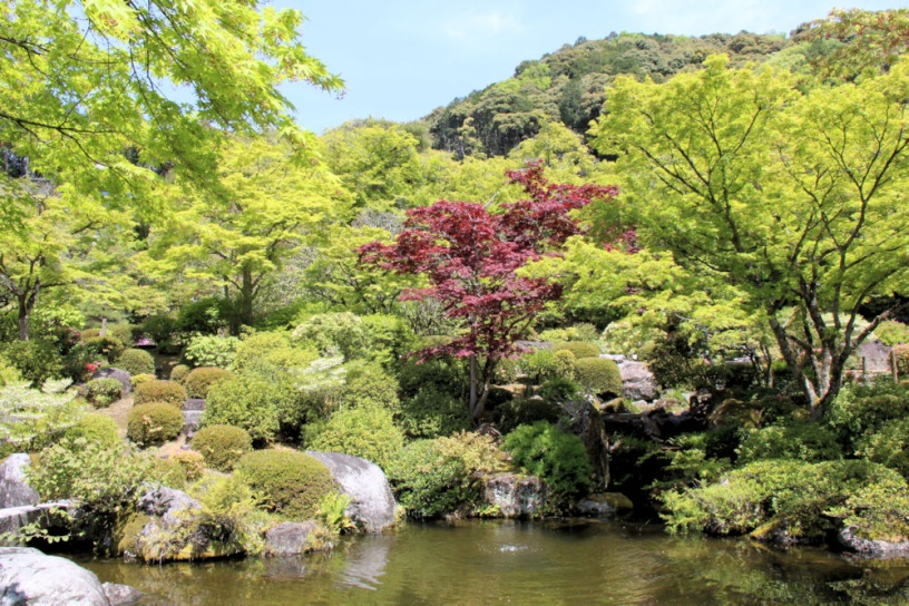 （撮影日：2021年4月15日）