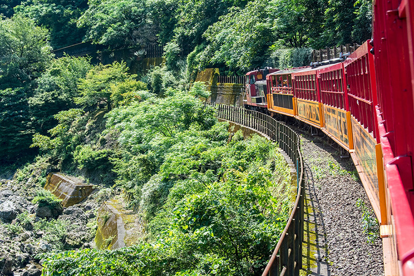 祝開業30周年 嵐山 亀岡を走る 嵯峨野トロッコ列車 の魅力に迫る そうだ 京都 行こう