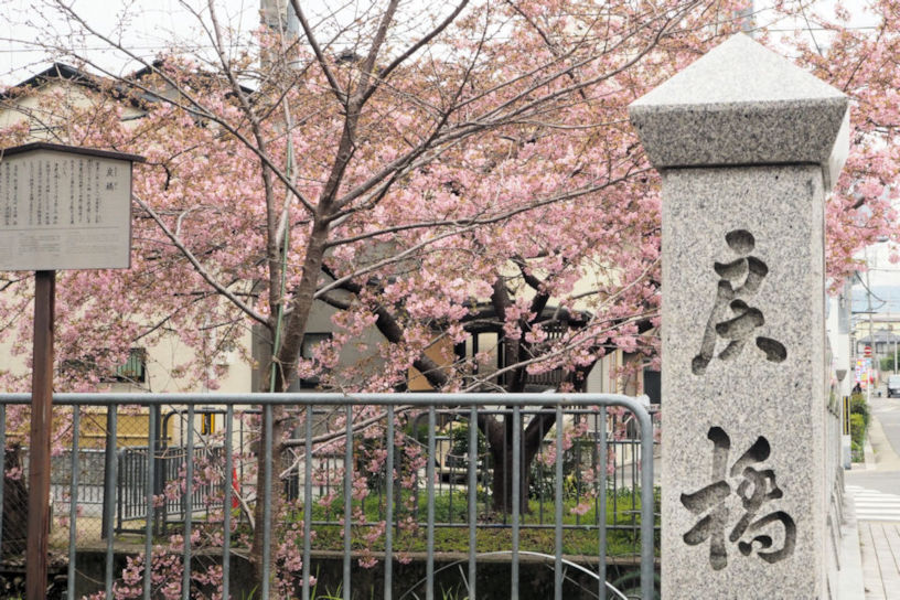 早咲きの河津桜の名所としても有名です。