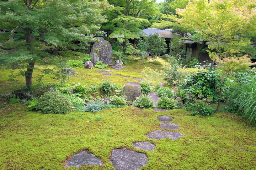 黄梅院の「直中庭（じきちゅうてい）」。