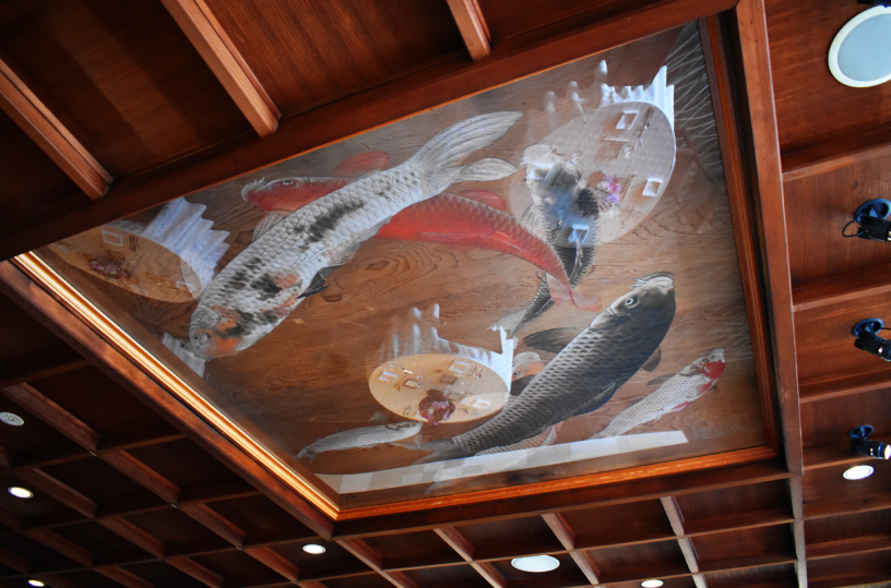 小村大雲（1883—1938）の板絵作品。７匹の鯉が天井を泳ぎます！