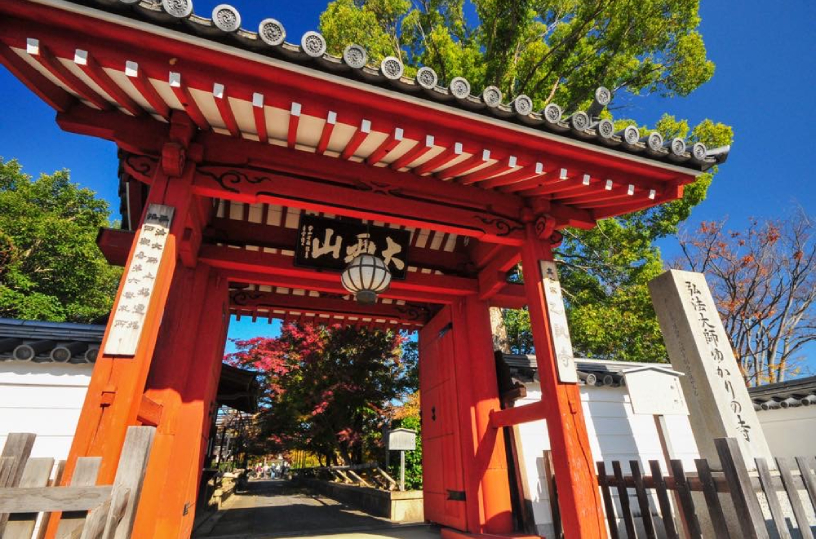 山門。乙訓寺は聖徳太子の創建と伝わる京都府内最古級のお寺。牡丹の寺としても知られます。