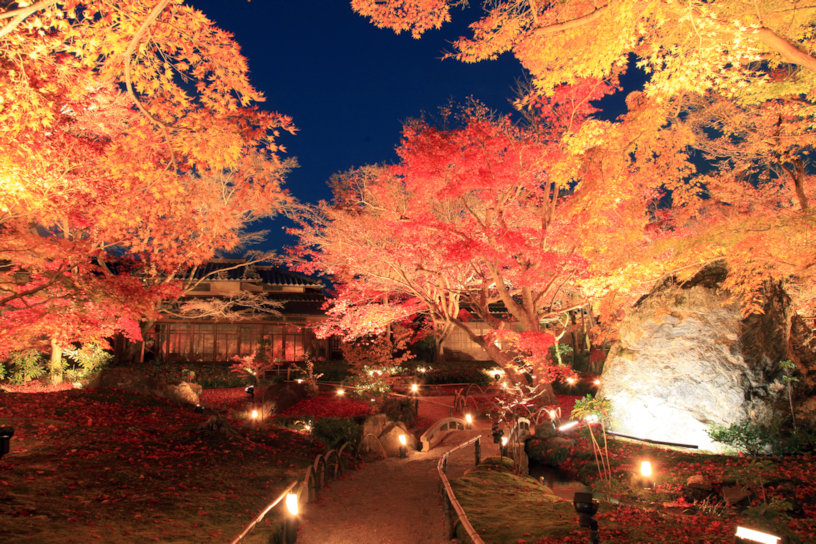 秋の京都 おすすめ紅葉ライトアップと夜間特別拝観 2023｜そうだ 京都