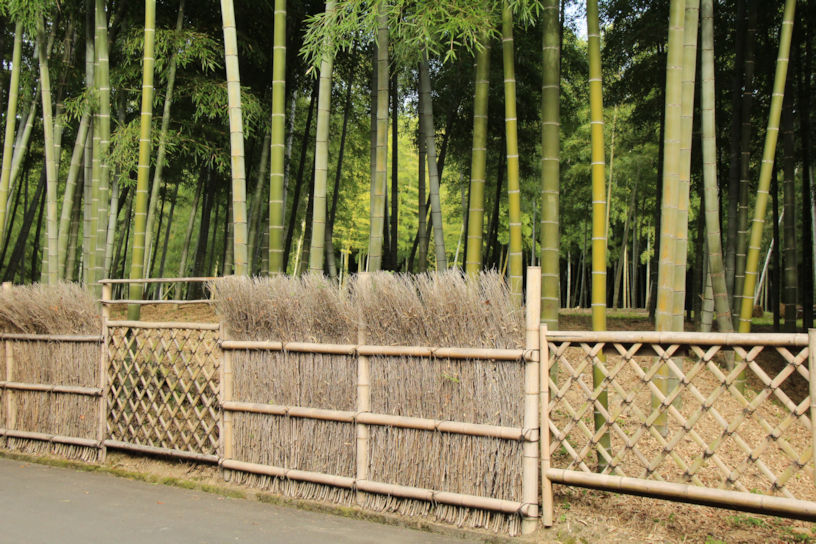 8種類の竹垣が設置された散策路は、「全国歩きたくなる道500選」に選ばれています。