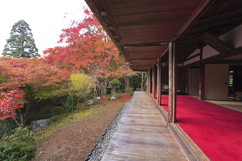 高山寺