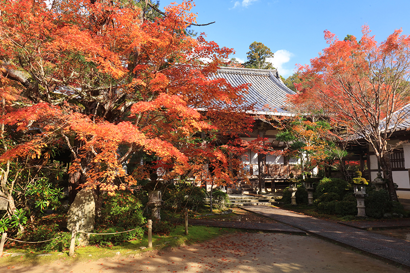 西明寺