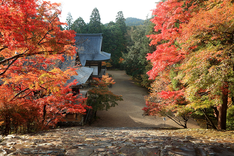 神護寺