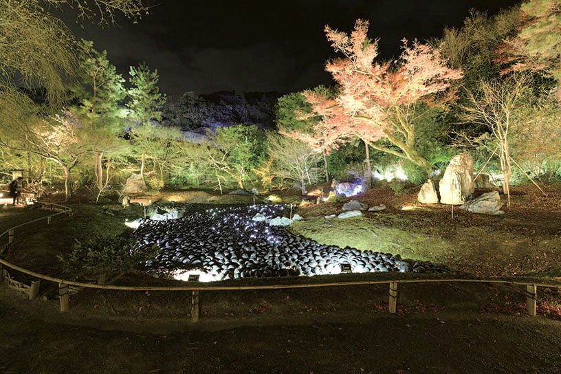 宝厳院（写真提供：京都・花灯路推進協議会）