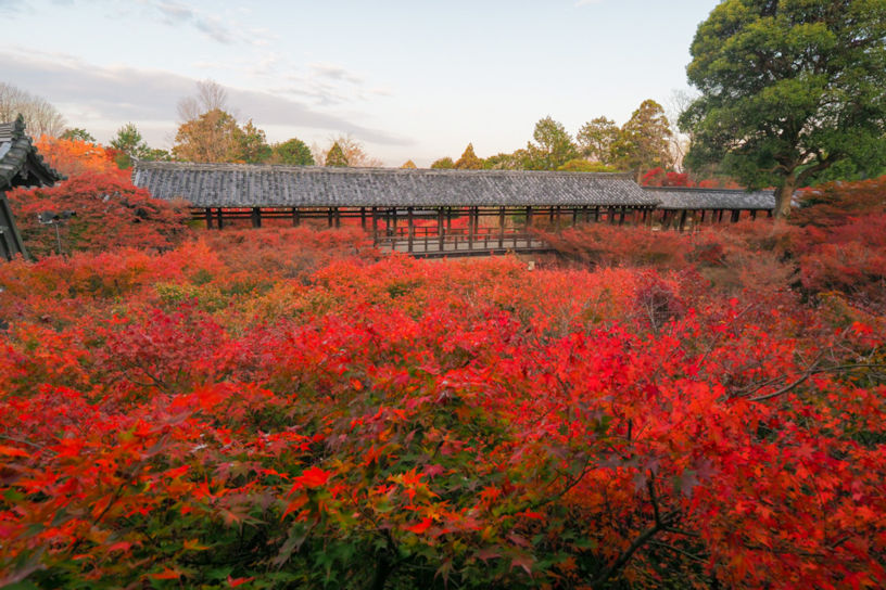 東福寺　方丈から眺める通天橋（撮影日：2021年11月25日）