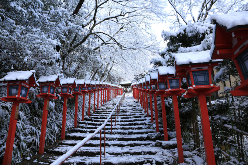 22年 冬の京都で楽しみたいこと 8選 そうだ 京都 行こう