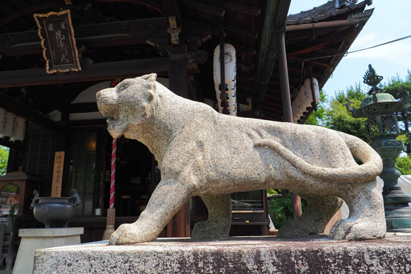 建仁寺 両足院の狛虎